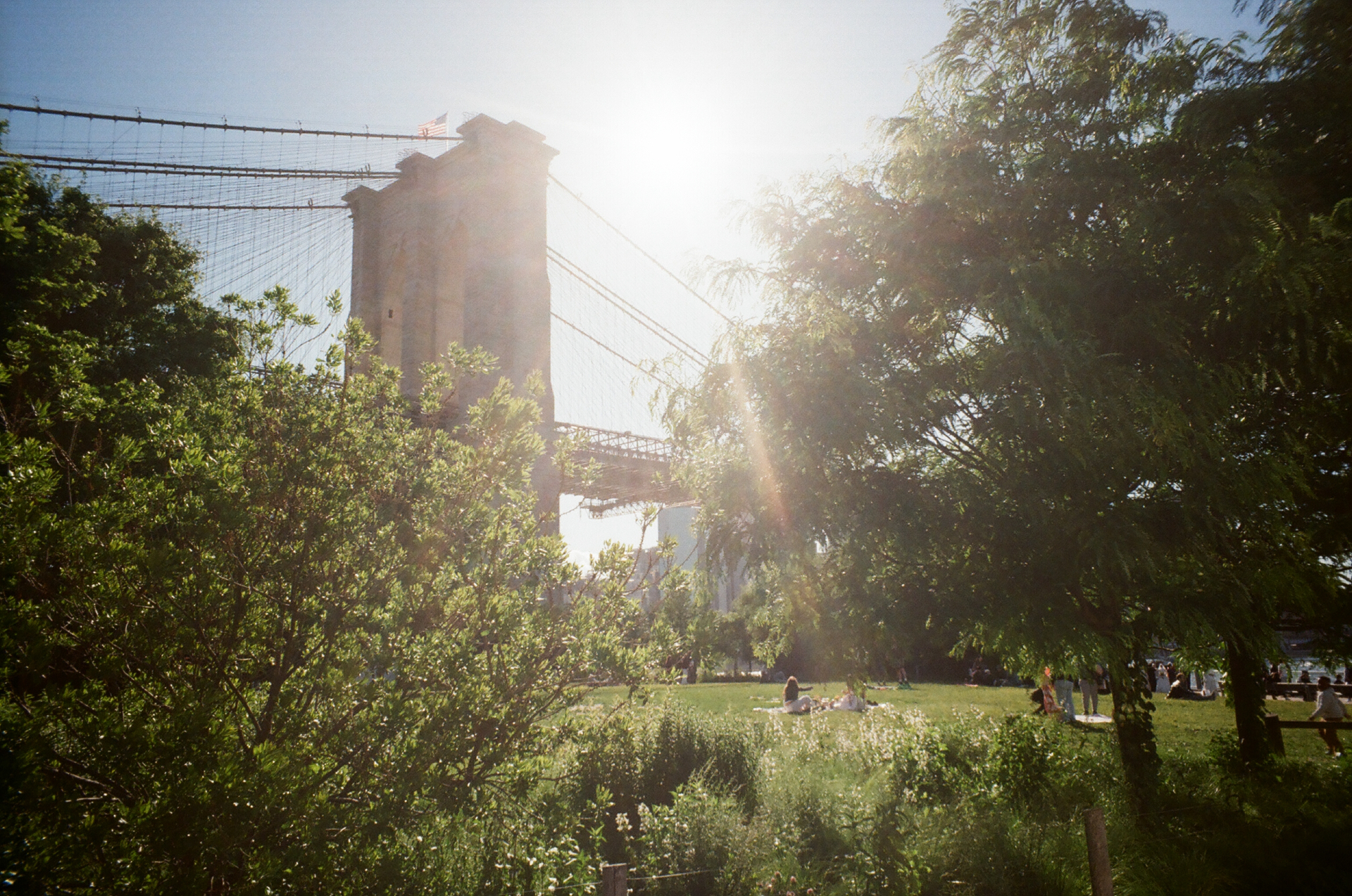 film photo 7