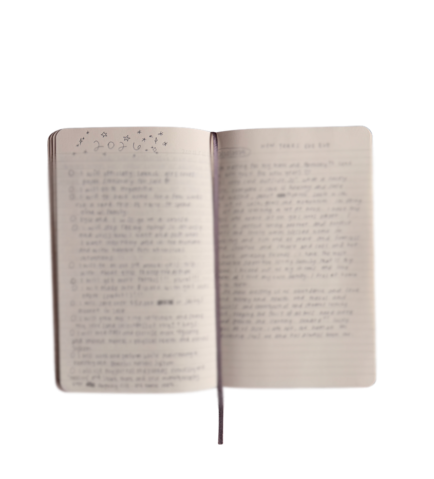 moleskin spread