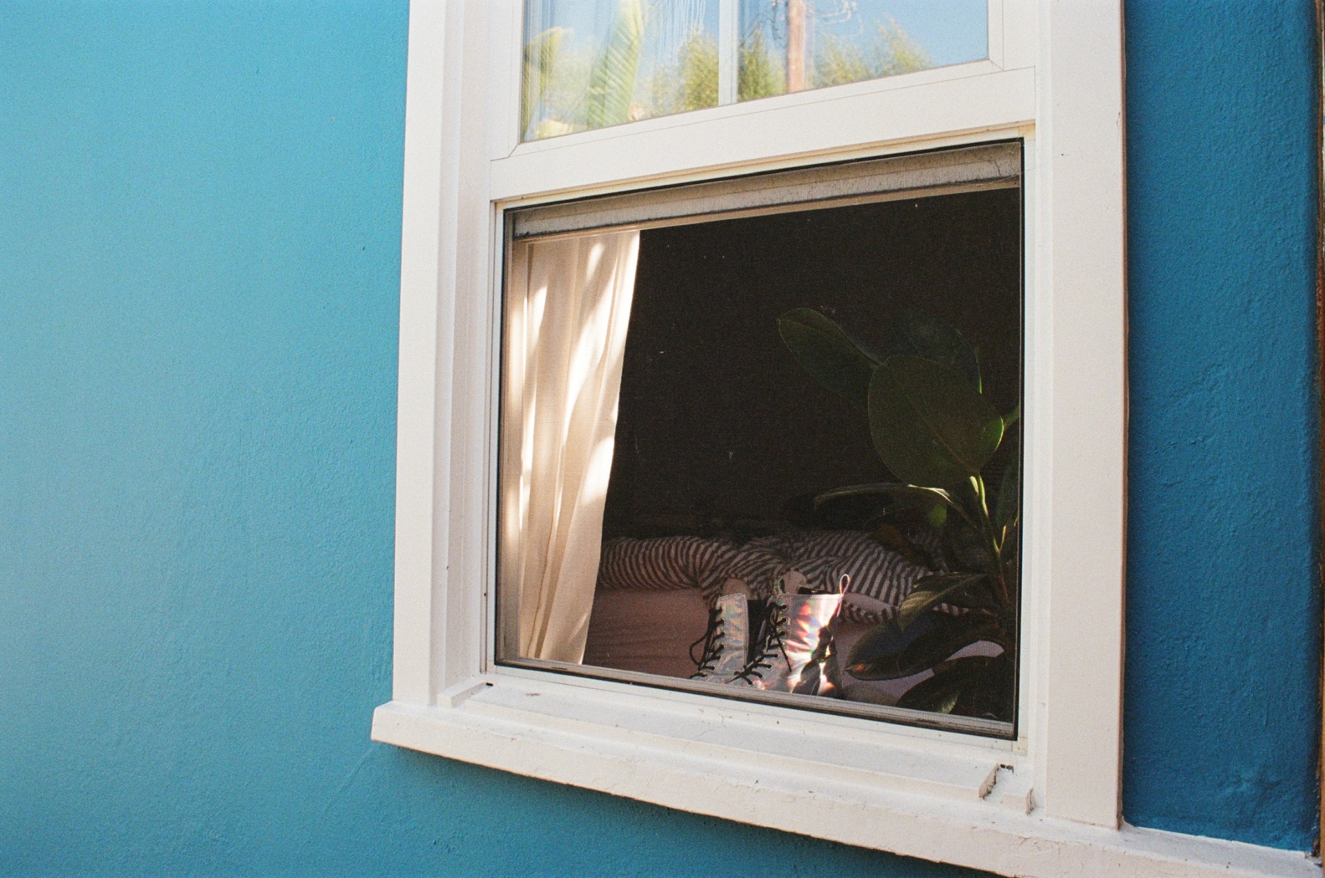 film photo 62