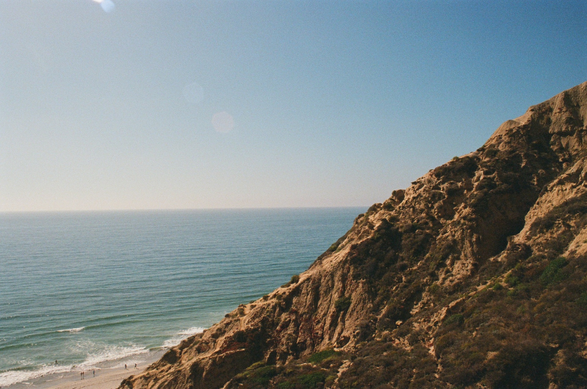 film photo 65