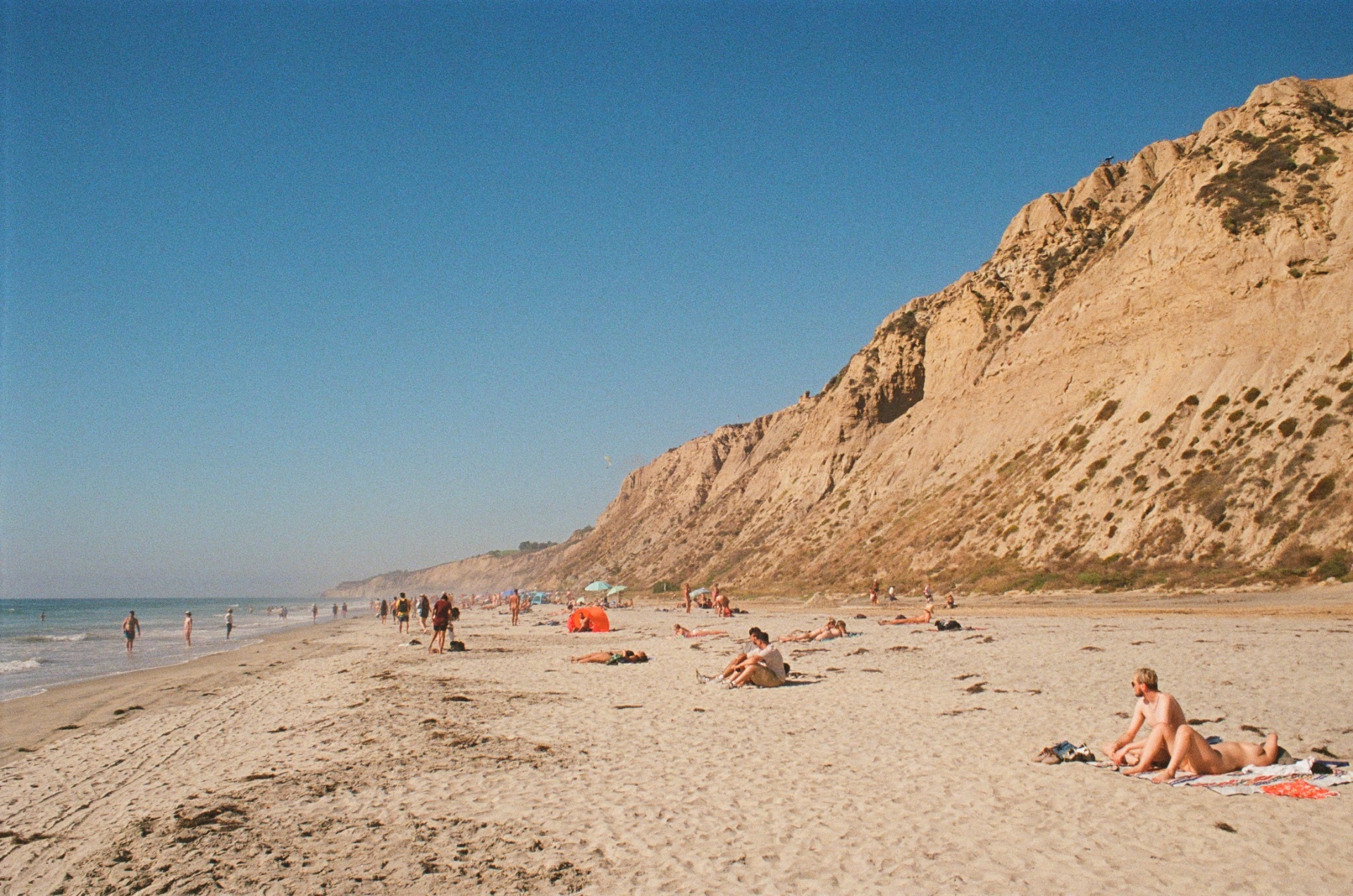 film photo 66