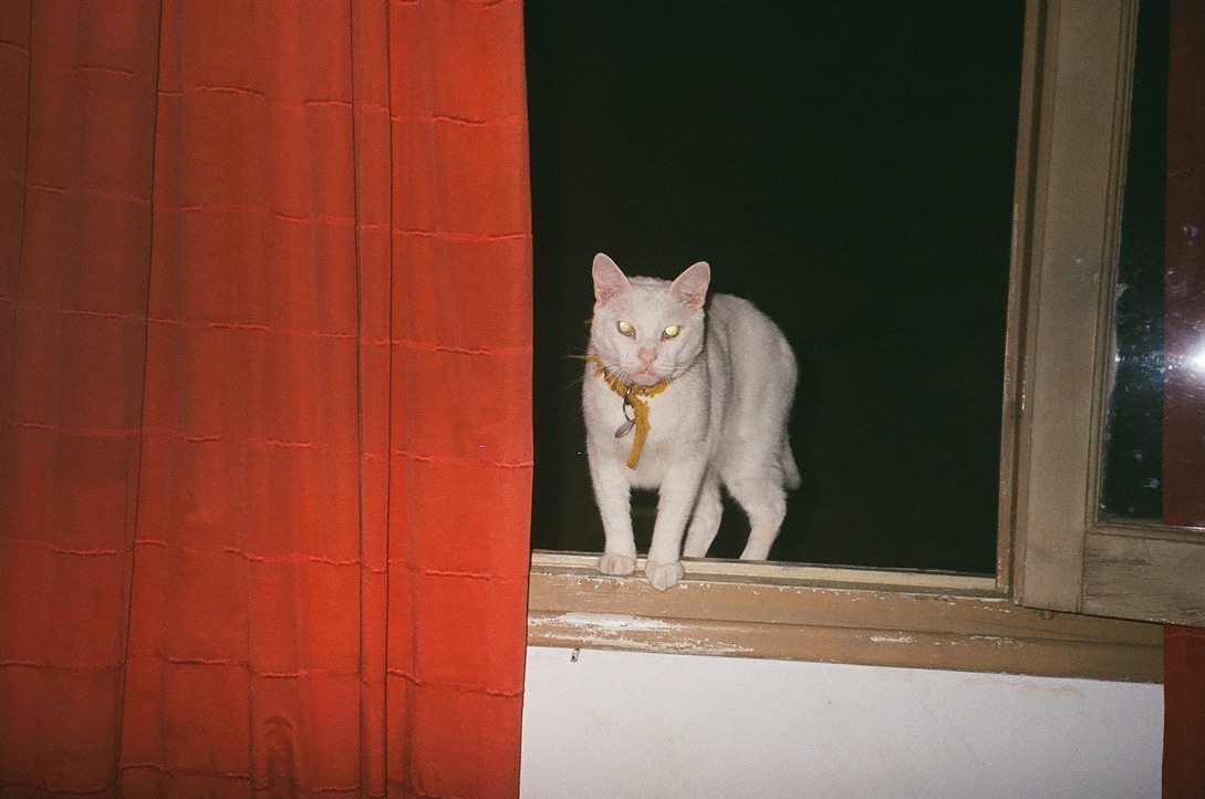 film photo 55
