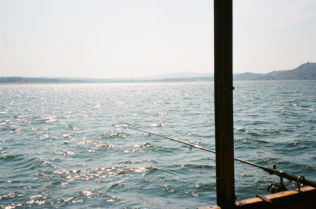 film photo 41
