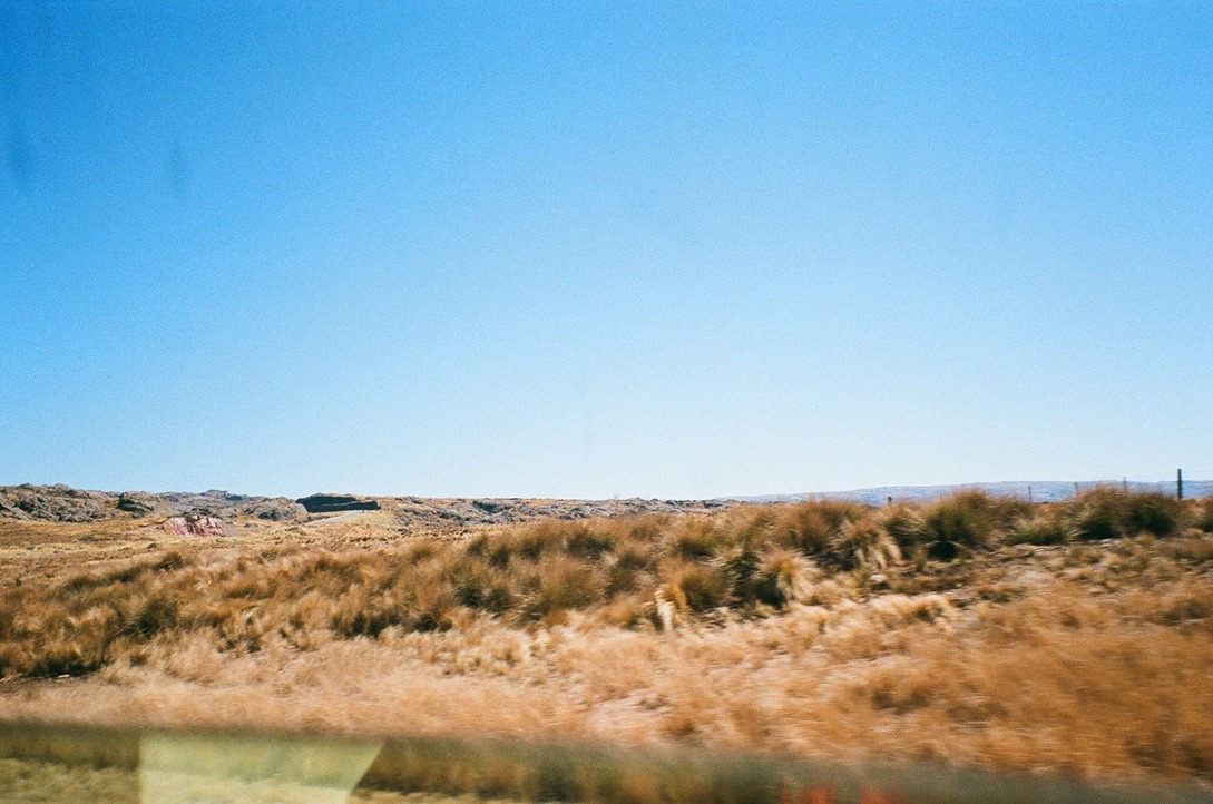 film photo 45