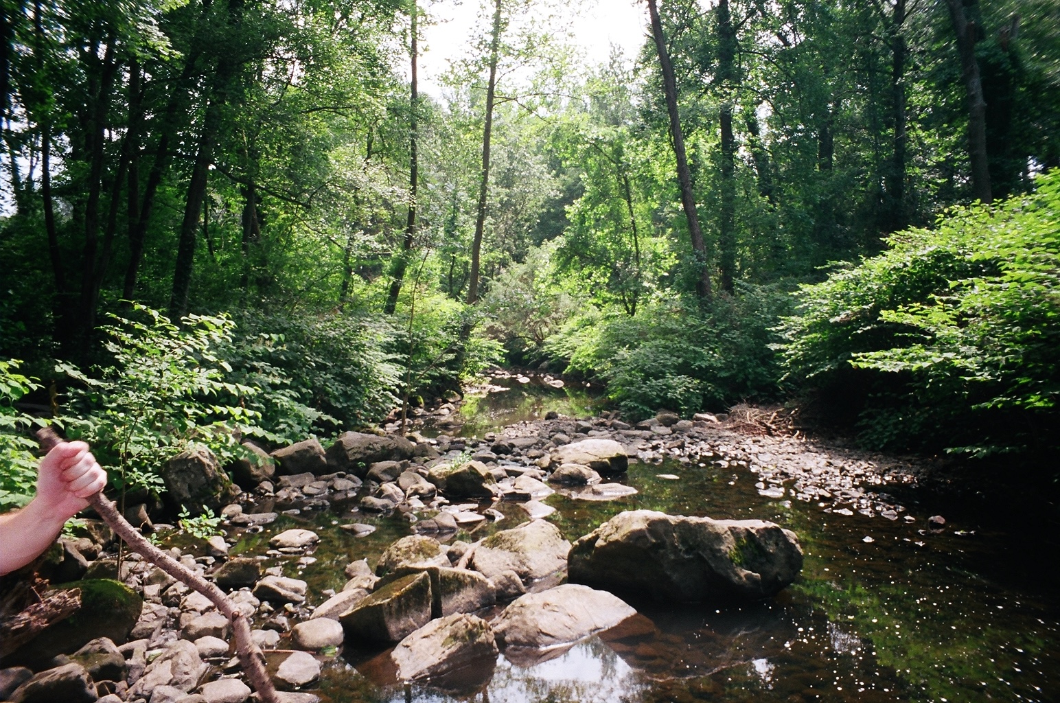 film photo 22
