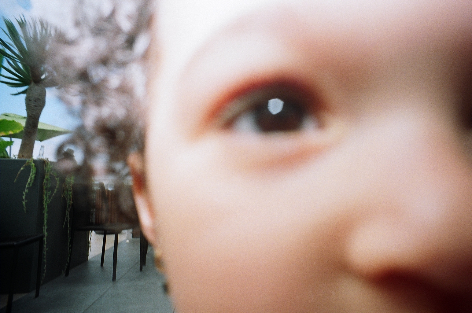film photo 7