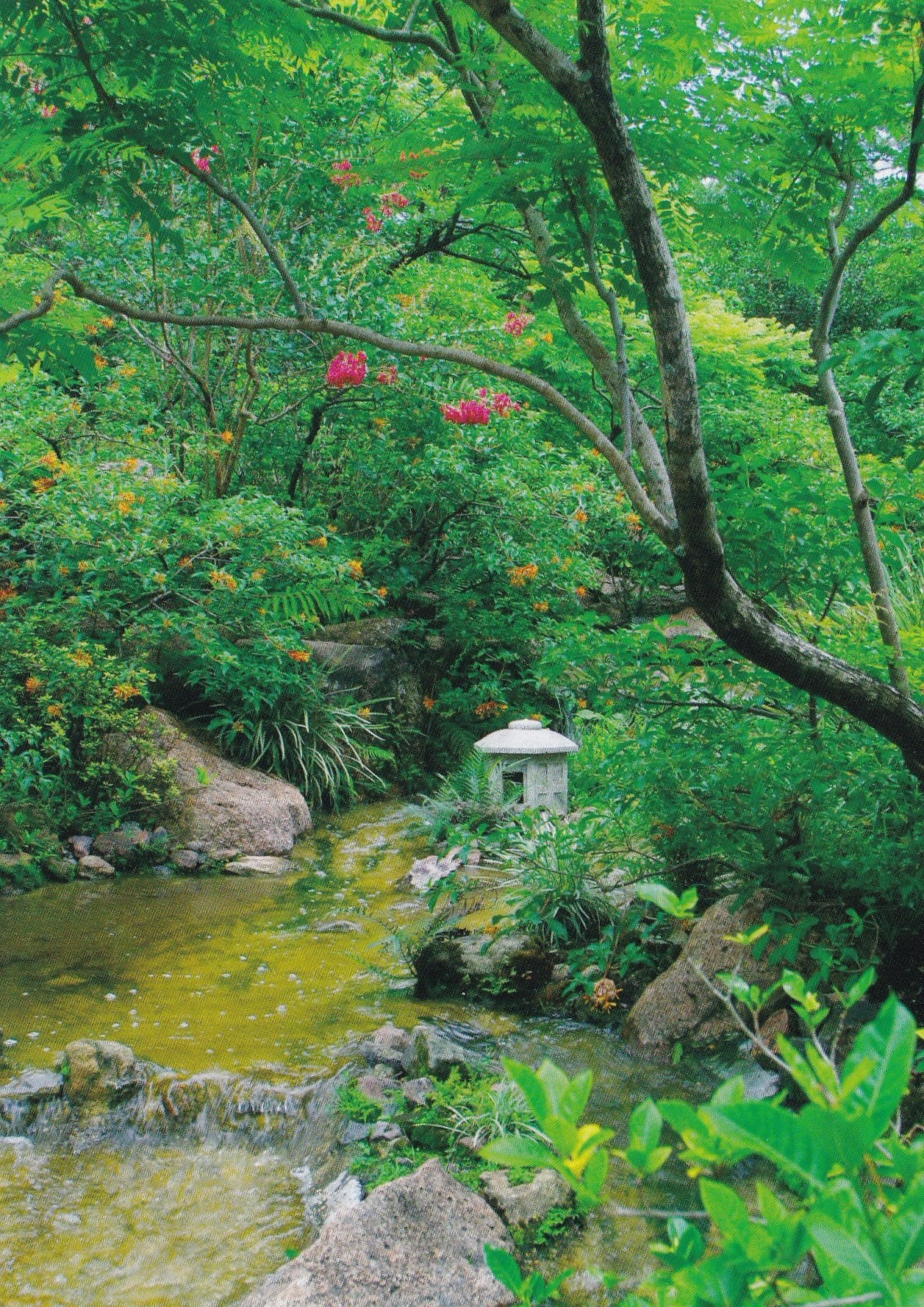 postcard 30