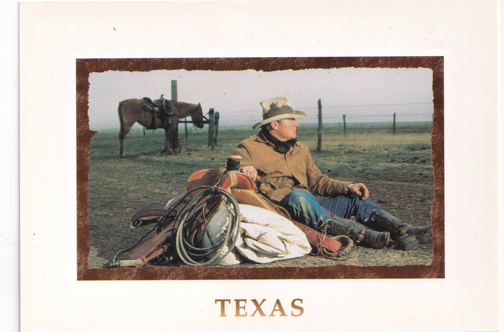 postcard 37
