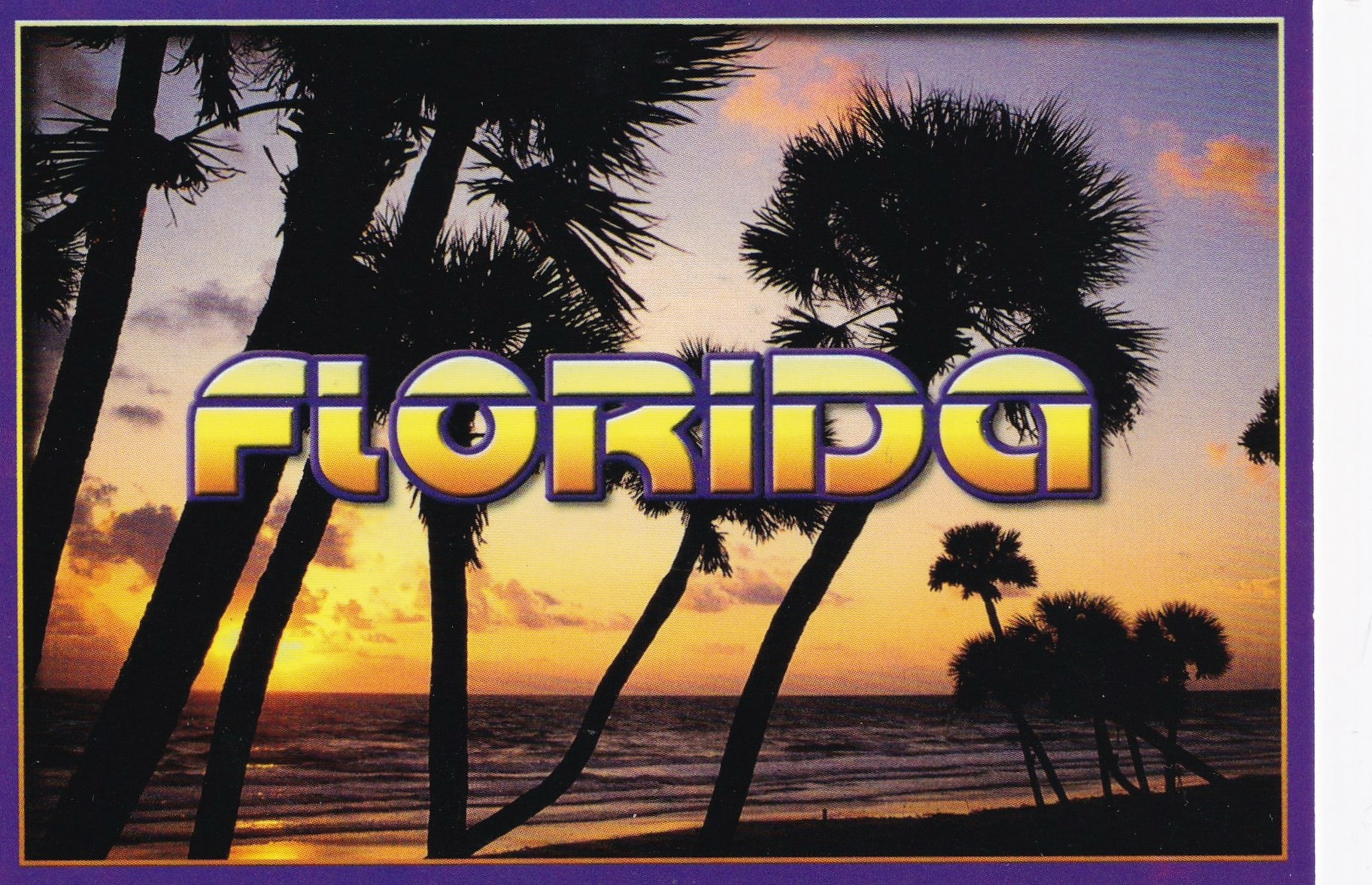 florida sunset with palms